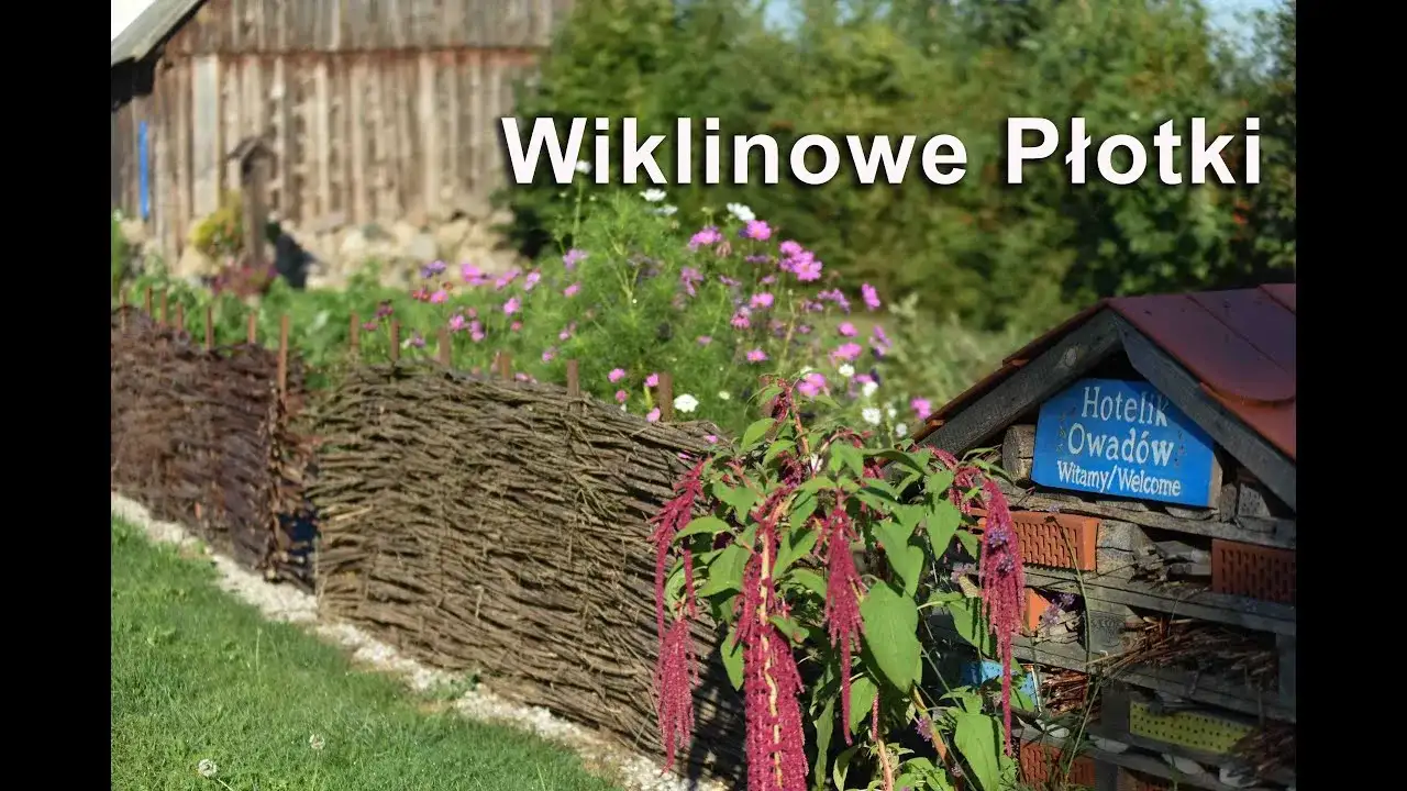 Jak zrobić płot z wikliny - proste kroki, które musisz znać