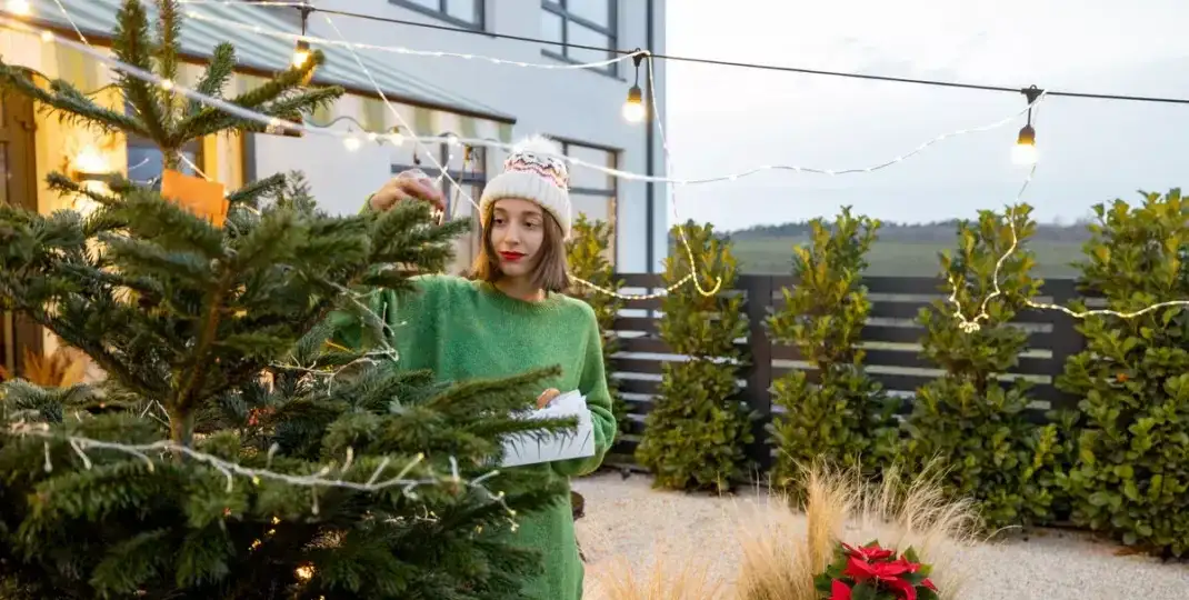 Ozdoby świąteczne do ogrodu jak zrobić - proste i efektowne pomysły