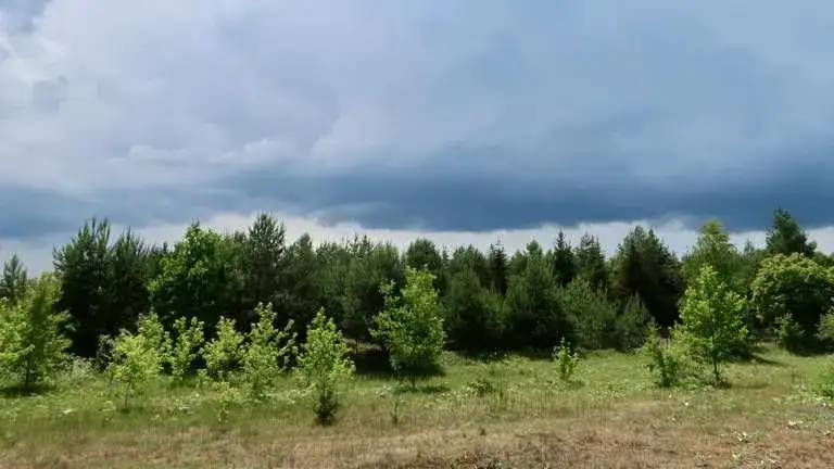 Ostrów Mazowiecka atrakcje - odkryj ukryte skarby i piękne miejsca