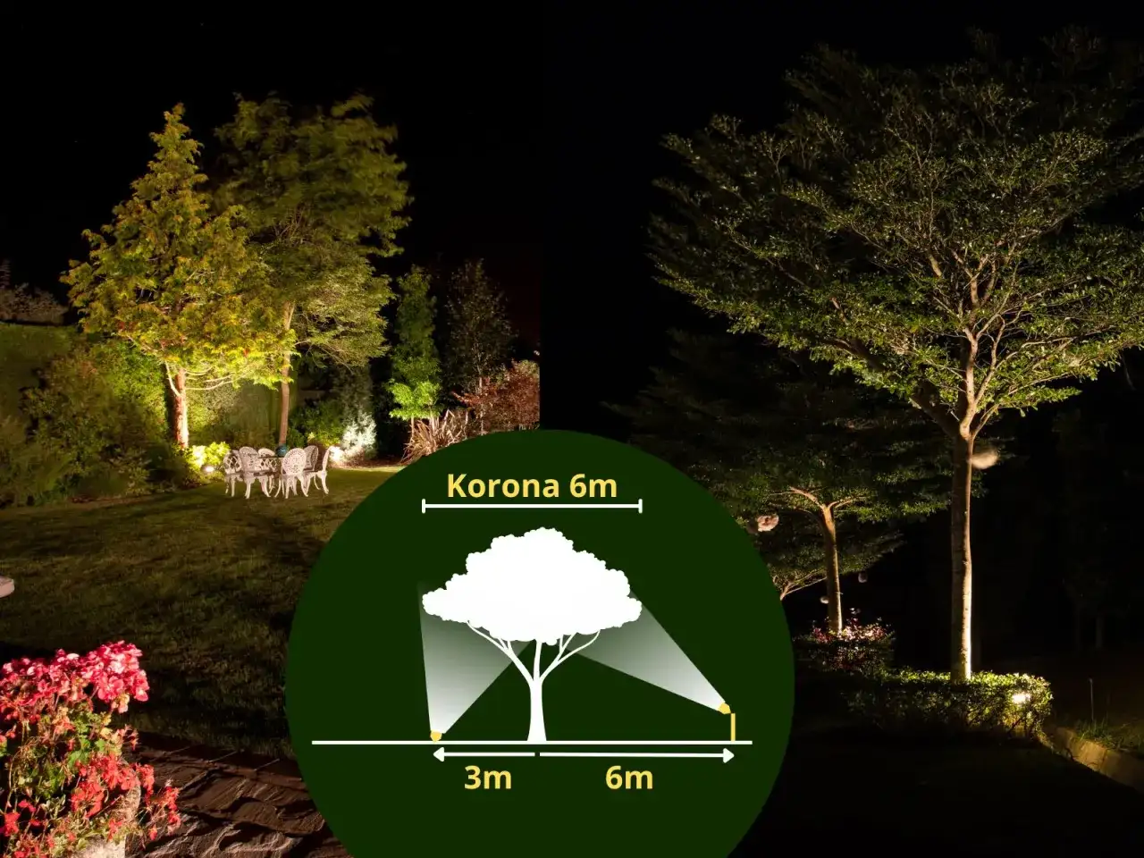 Jak podświetlić drzewo w ogrodzie – efektywne metody i najlepsze lampy