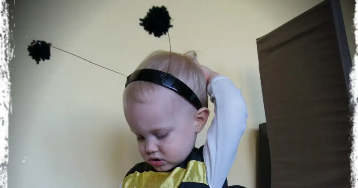 Jak zrobić strój pszczółki dla chłopca - proste i kreatywne pomysły