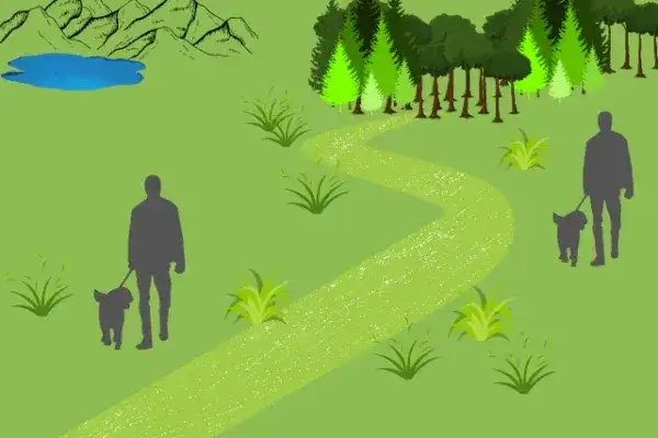 Jak prawidłowo wykonać spacer równoległy z psem - najważniejsze zasady