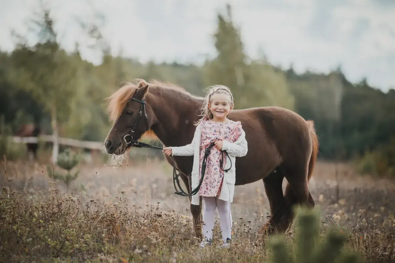 Stadnina koni Żabno - historia, hodowla małopolskich koni i usługi