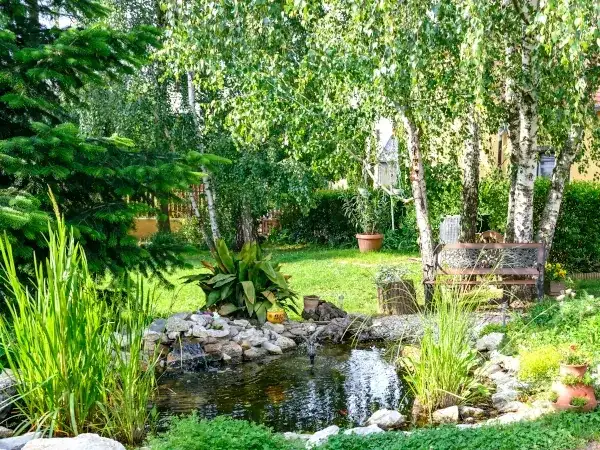 Co posadzić na podmokłym terenie, aby uniknąć problemów z wilgocią?