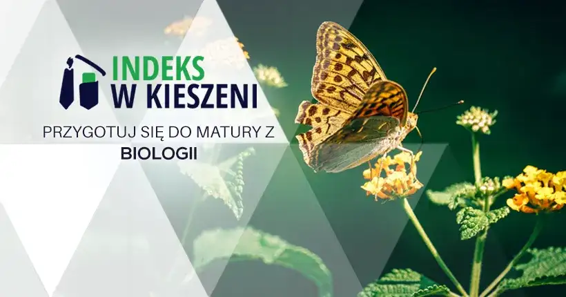 Jak przygotować się do matury z biologii i uniknąć stresu