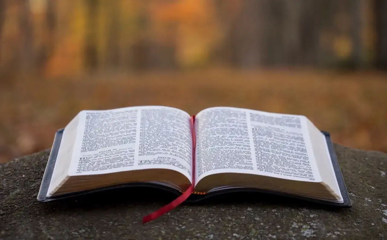 Zaopiekuj się mną - książka o miłości i przemianach, która zostaje w pamięci