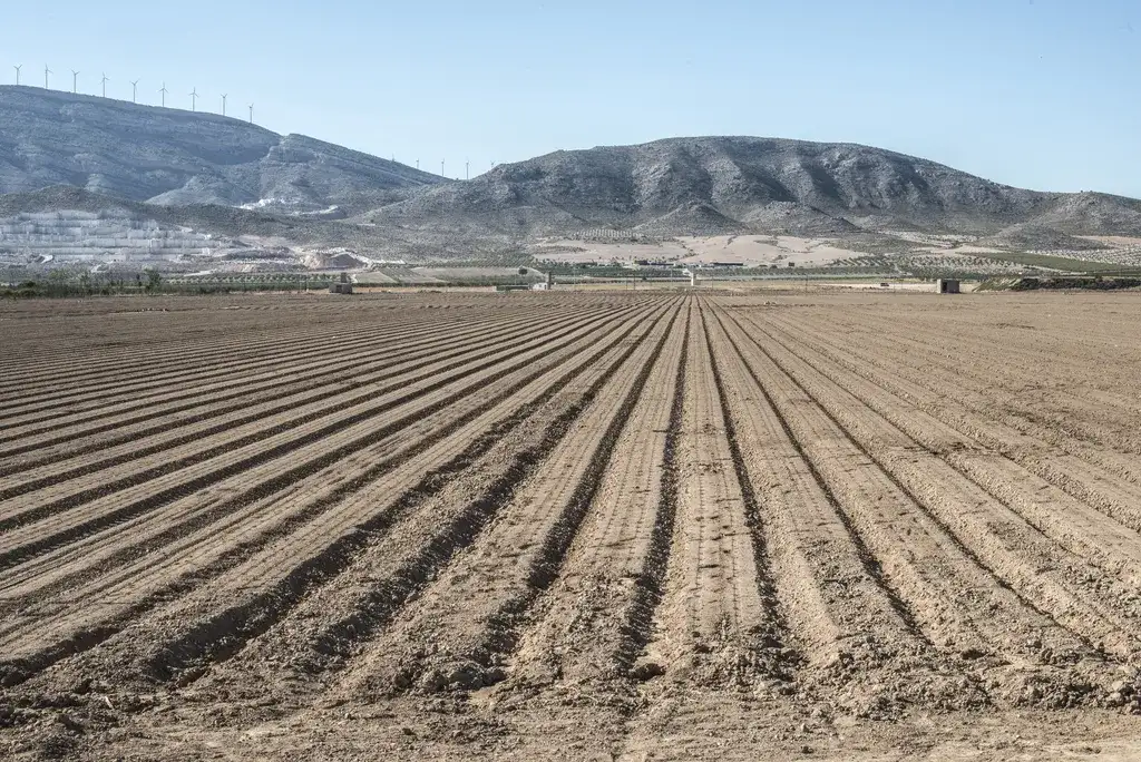 Ile kosztuje zmiana klasyfikacji gruntu? Sprawdź ukryte koszty!