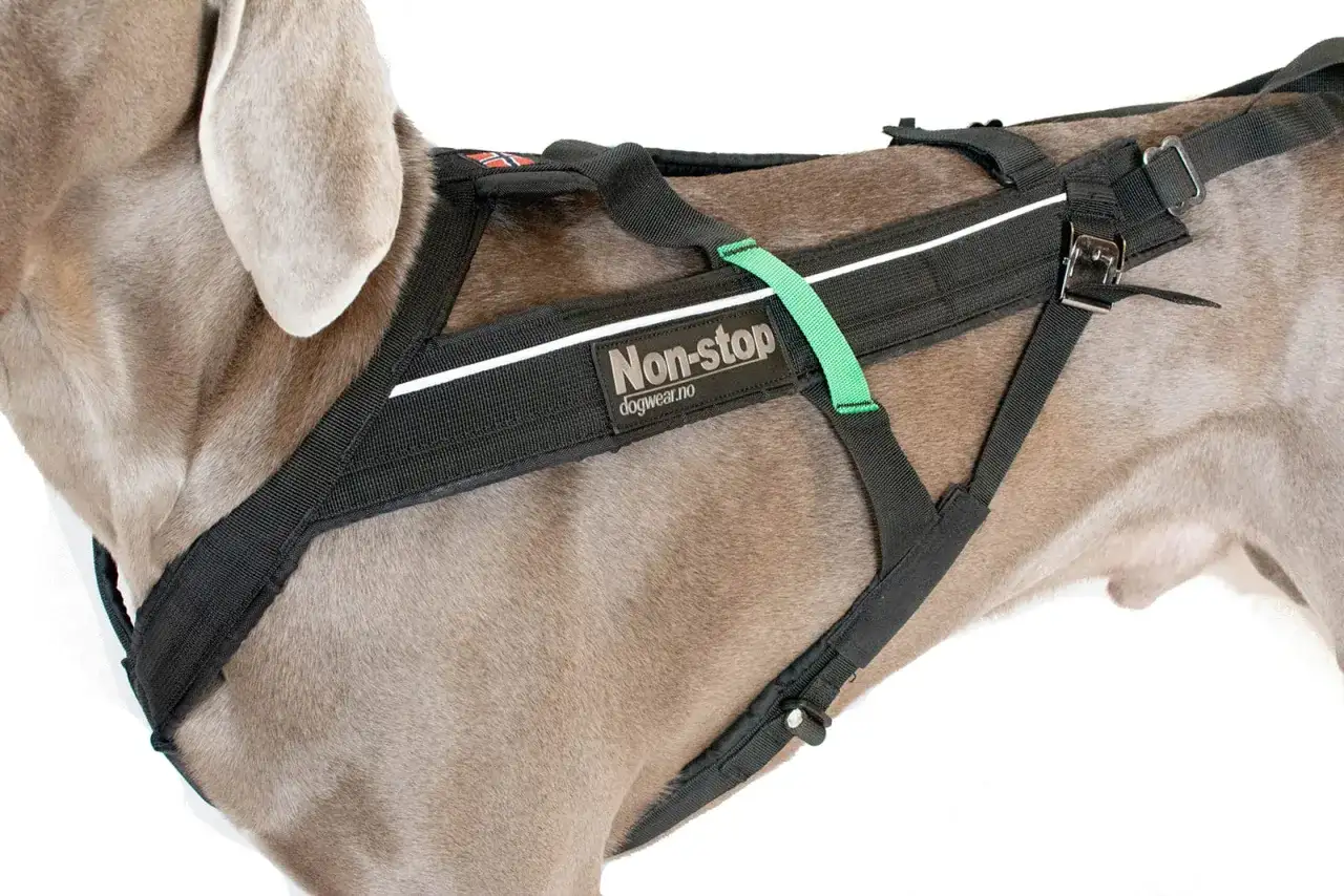 Szelki do ciągnięcia dla psa: jak wybrać najlepsze i skuteczne rozwiązanie