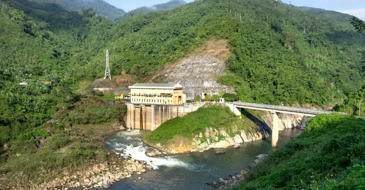 Filmy o ekologii: czy naprawdę zmieniają nasze nawyki?