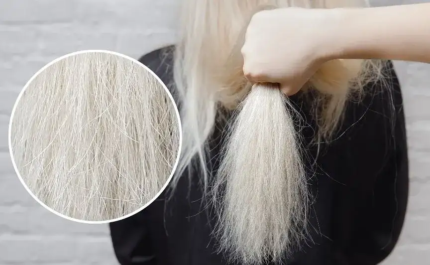 Jak wyglądają spalone włosy po farbowaniu? Objawy, przyczyny i pielęgnacja.