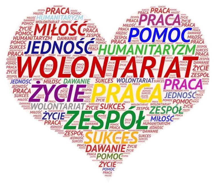 7 najważniejszych cech wolontariusza - jakie są i jak je rozwinąć?