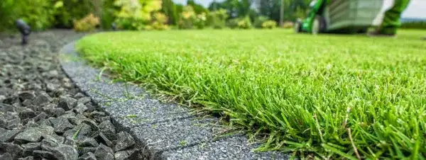 Jak oddzielić trawnik od kamieni - skuteczne metody i porady