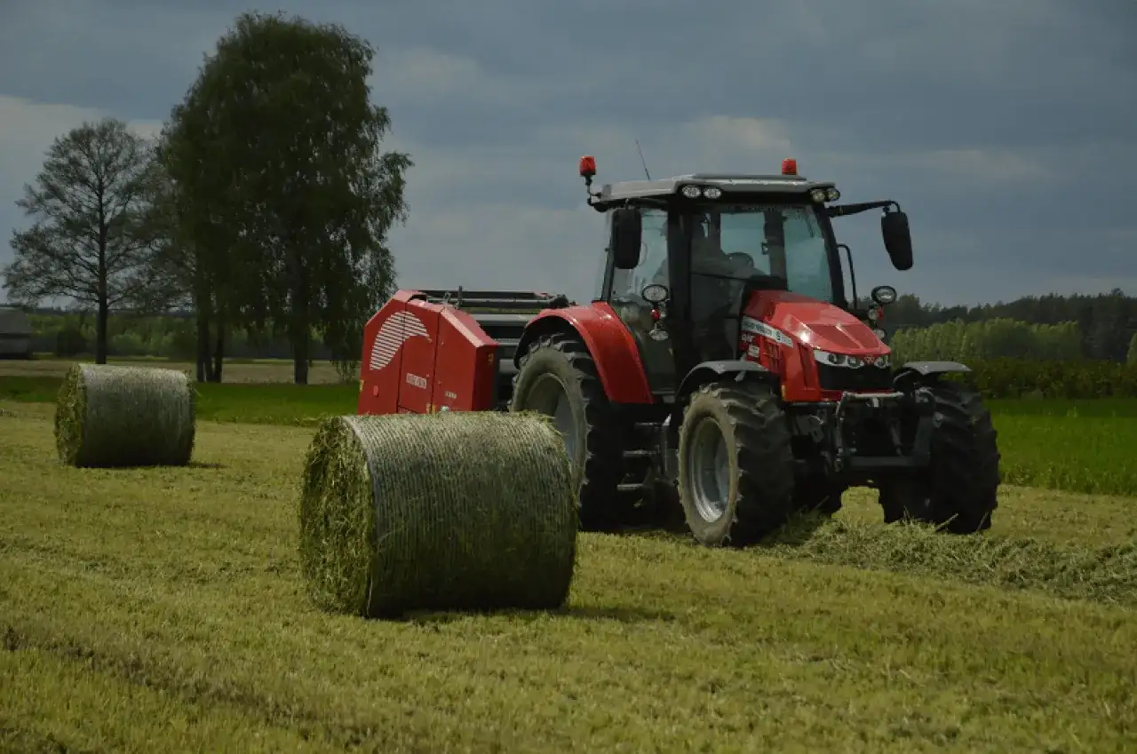 Do kiedy siać poplon arimr - uniknij błędów w siewie!