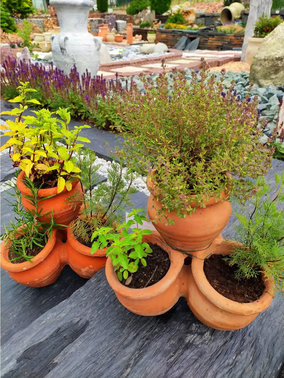 Jak upiększyć ogród: proste sposoby na piękną i funkcjonalną przestrzeń