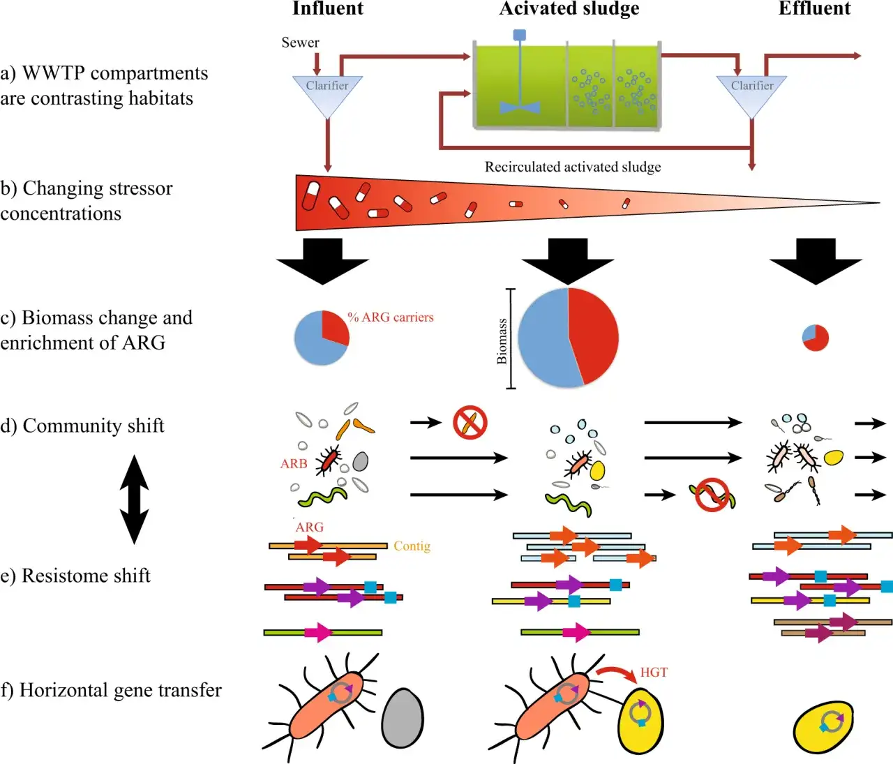 Poznaj wszystkie czynniki zabijające bakterie w oczyszczalni ścieków
