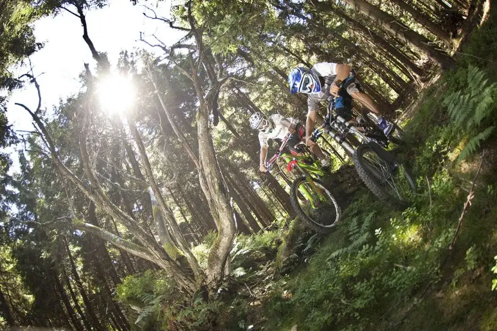 Zieleniec trasy rowerowe: Odkryj najciekawsze szlaki dla rodzin