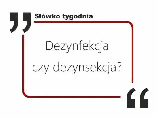 Dezynfekcja czy dezynfekcja: co musisz wiedzieć o skuteczności?