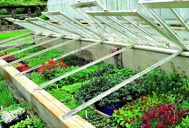 Jak zrobić inspekt ogrodowy, aby cieszyć się wczesnymi plonami?