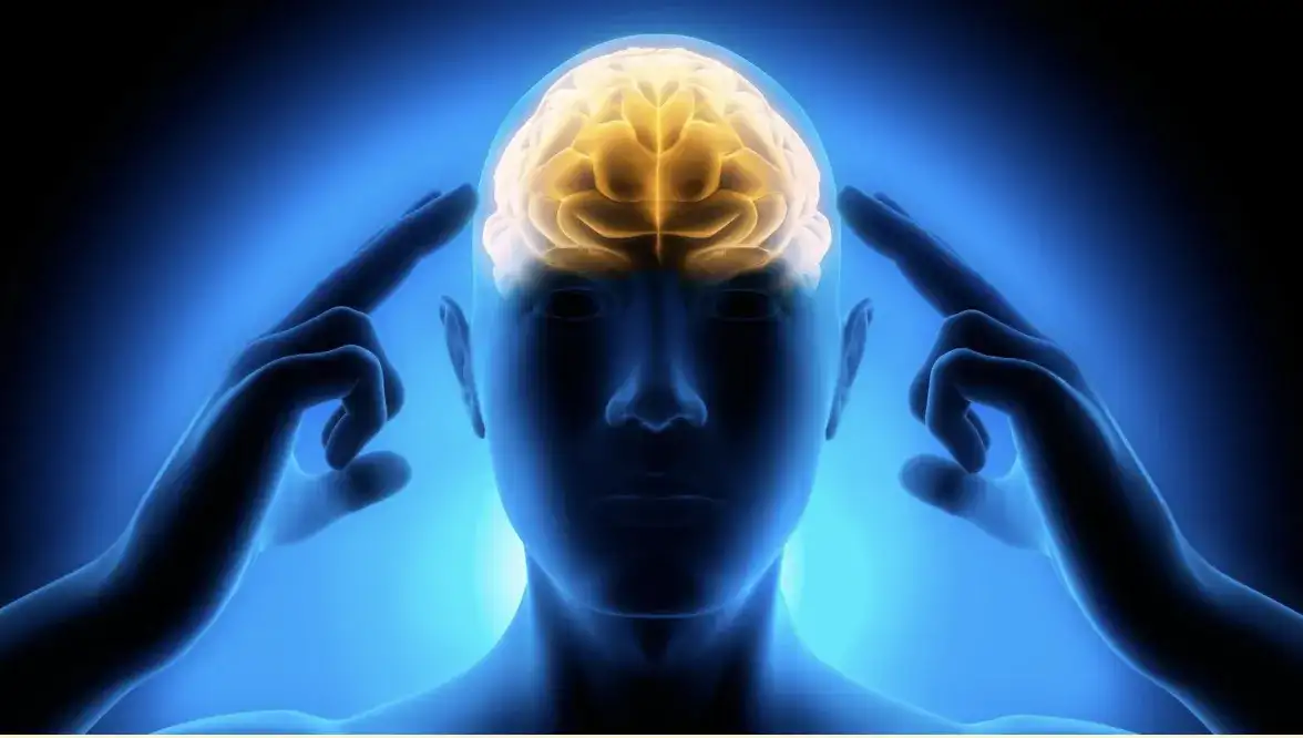 Jak ludzie adaptują się do szybkiej informacji zwrotnej