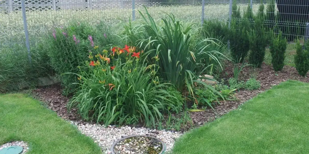 Jak stworzyć piękny ogródek na oczyszczalni: praktyczny poradnik dla każdego