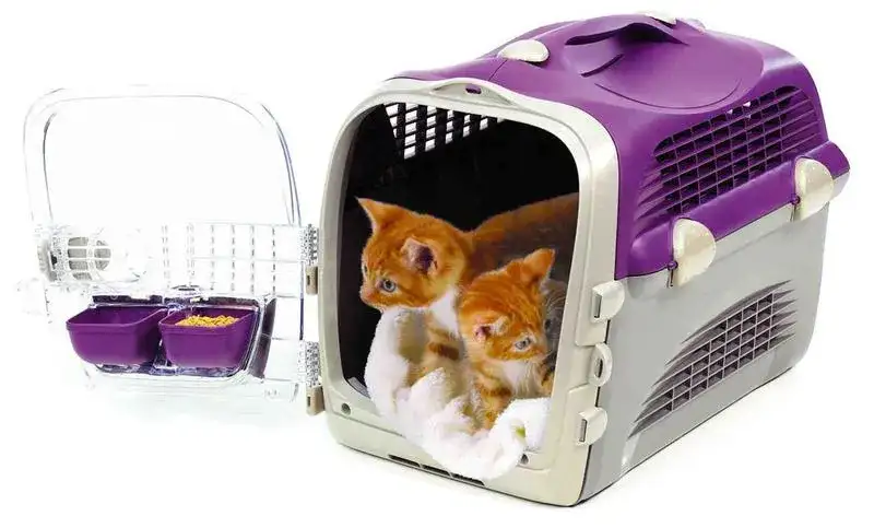 Jak wybrać idealny transporter dla kota: wszystko co musisz wiedzieć