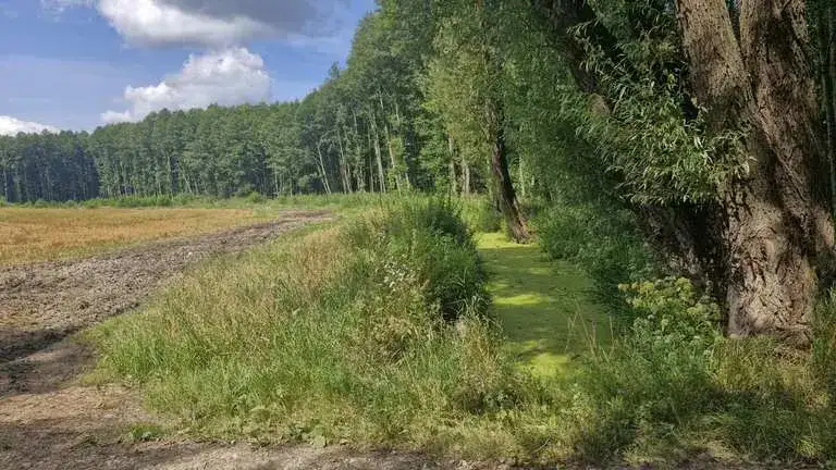 Najlepsze trasy rowerowe w Iławie: odkryj piękno regionu bez trwogi