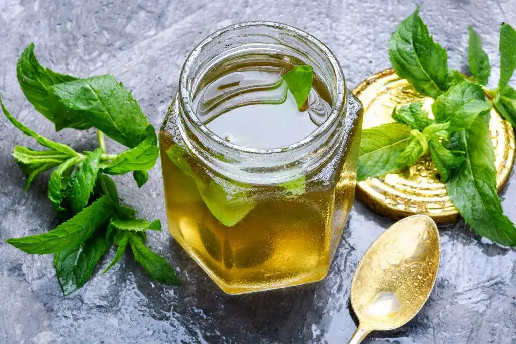 Prosty przepis na sok z mięty – jak zrobić go szybko i smacznie w domu