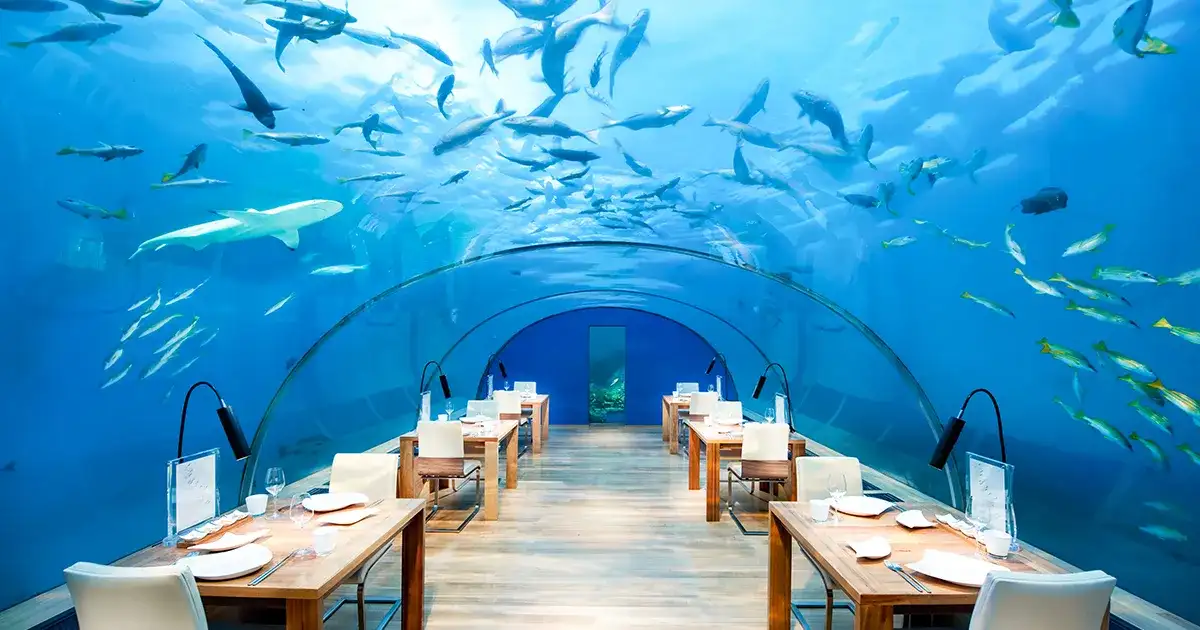 Kiedy najlepiej jechać do Japonii, aby uniknąć tłumów i cieszyć się pięknem natury