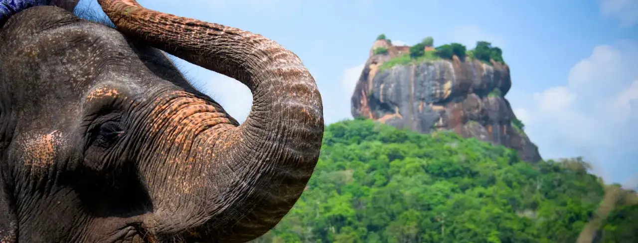 Najciekawsze atrakcje Sri Lanki, które musisz zobaczyć podczas wizyty