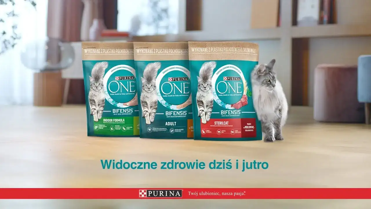 Purina jako karma dla kota: poznaj prawdę o jakości i składzie karmy
