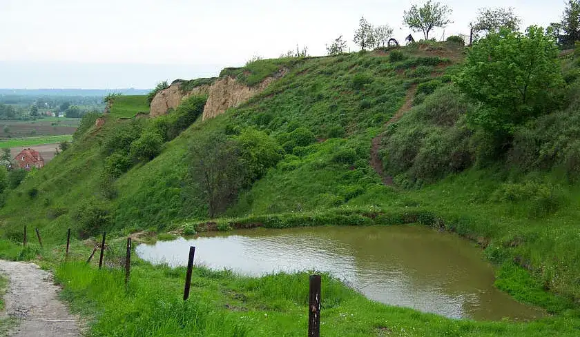 Najciekawsze atrakcje w Unisławiu, które musisz zobaczyć