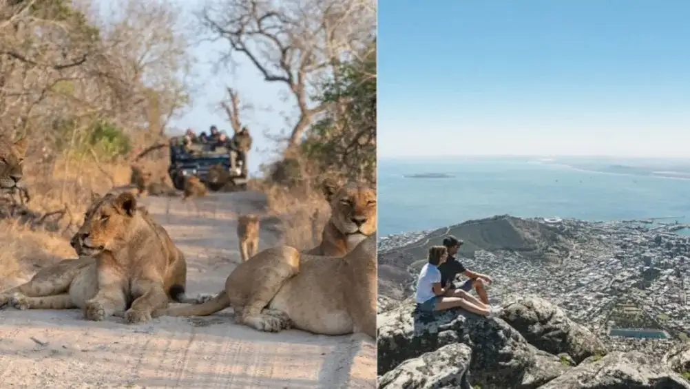 Elewacje w Południowej Afryce: jak je zabezpieczyć