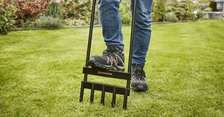 Kiedy aerować trawnik, aby uniknąć problemów z jego zdrowiem?