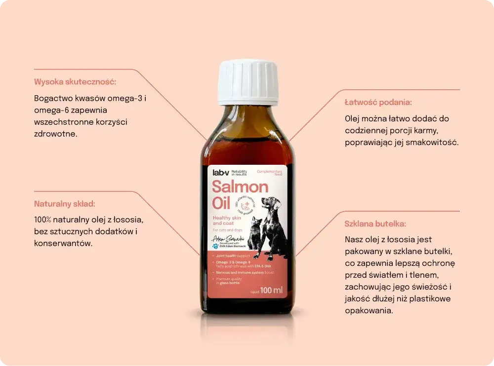 Olej z łososia dla kota: 5 kluczowych korzyści dla zdrowia pupila