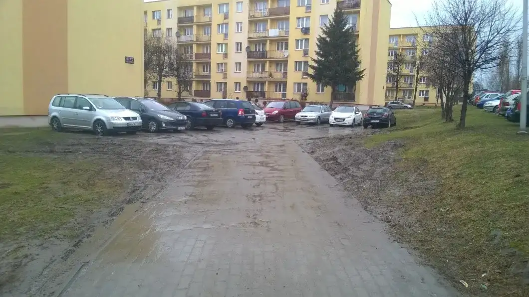 Czy można parkować na trawniku? Przepisy, kary i praktyczne porady