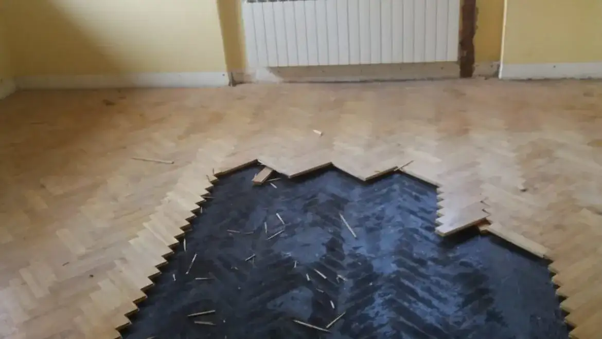 Czy lepik pod parkietem jest szkodliwy? Odkryj zagrożenia dla zdrowia.