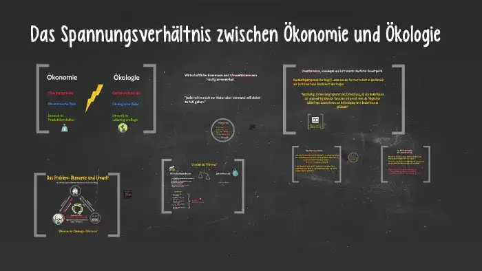Ökonomie und Ökologie im Unterricht: Spannungen verstehen und lösen