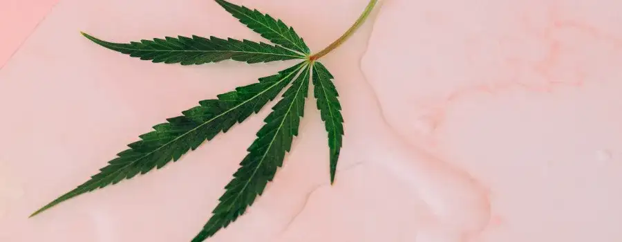 Balsam z konopi na co pomaga – odkryj jego niezwykłe właściwości