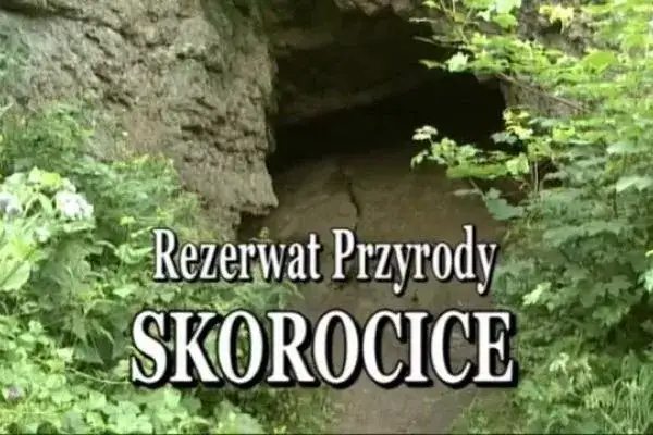 Rezerwat przyrody Skorocice: co warto wiedzieć przed zwiedzaniem i jak uniknąć błędów