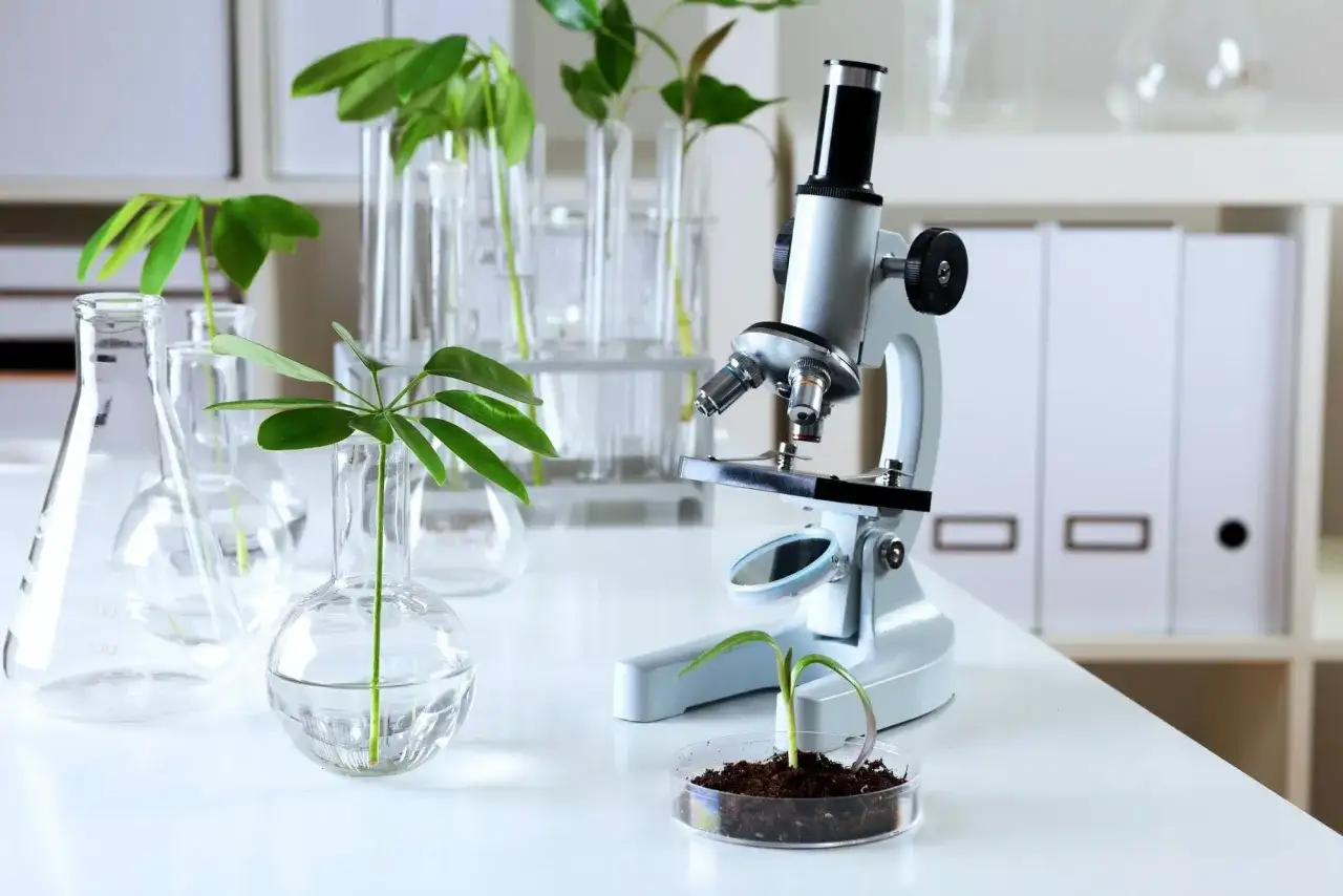 Biologia sądowa czy warto? Odkryj korzyści i możliwości kariery