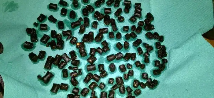 Domowy pellet na ryby - nauczysz się zrobić skuteczną zanętę wędkarską