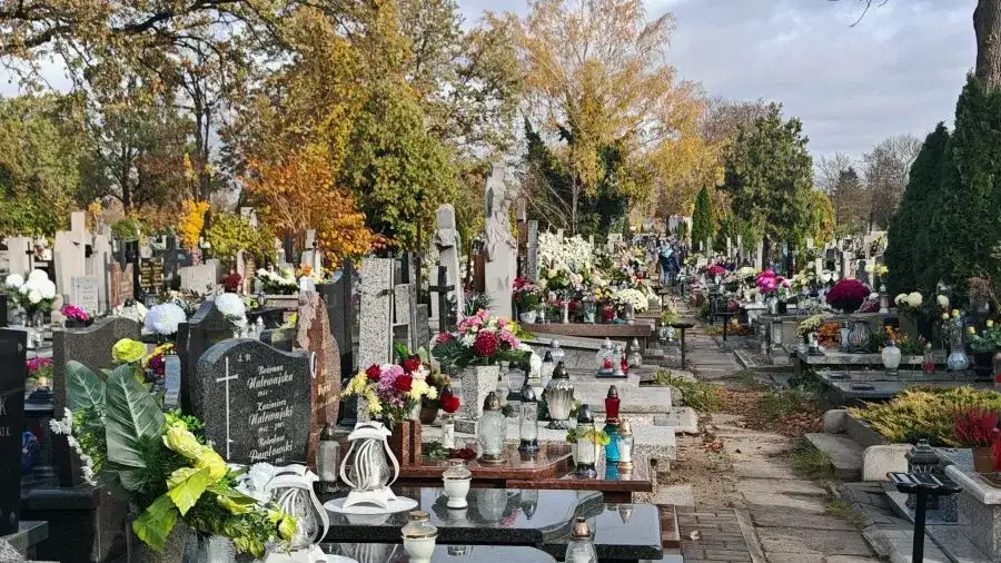 Jak znaleźć kogoś na cmentarzu i uniknąć trudności w poszukiwaniach