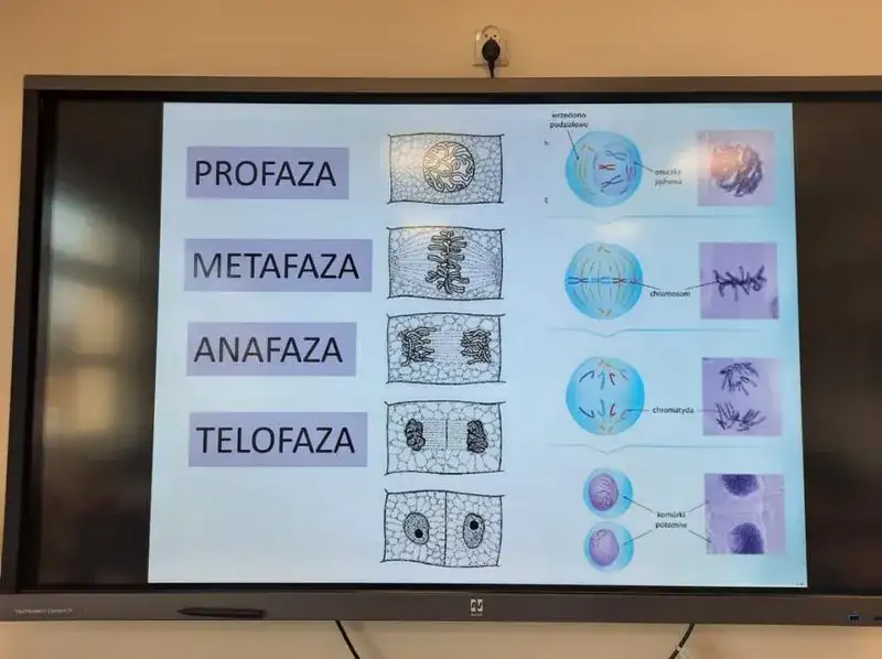 Zajęcia dodatkowe z biologii: jak rozwijać pasję i umiejętności uczniów