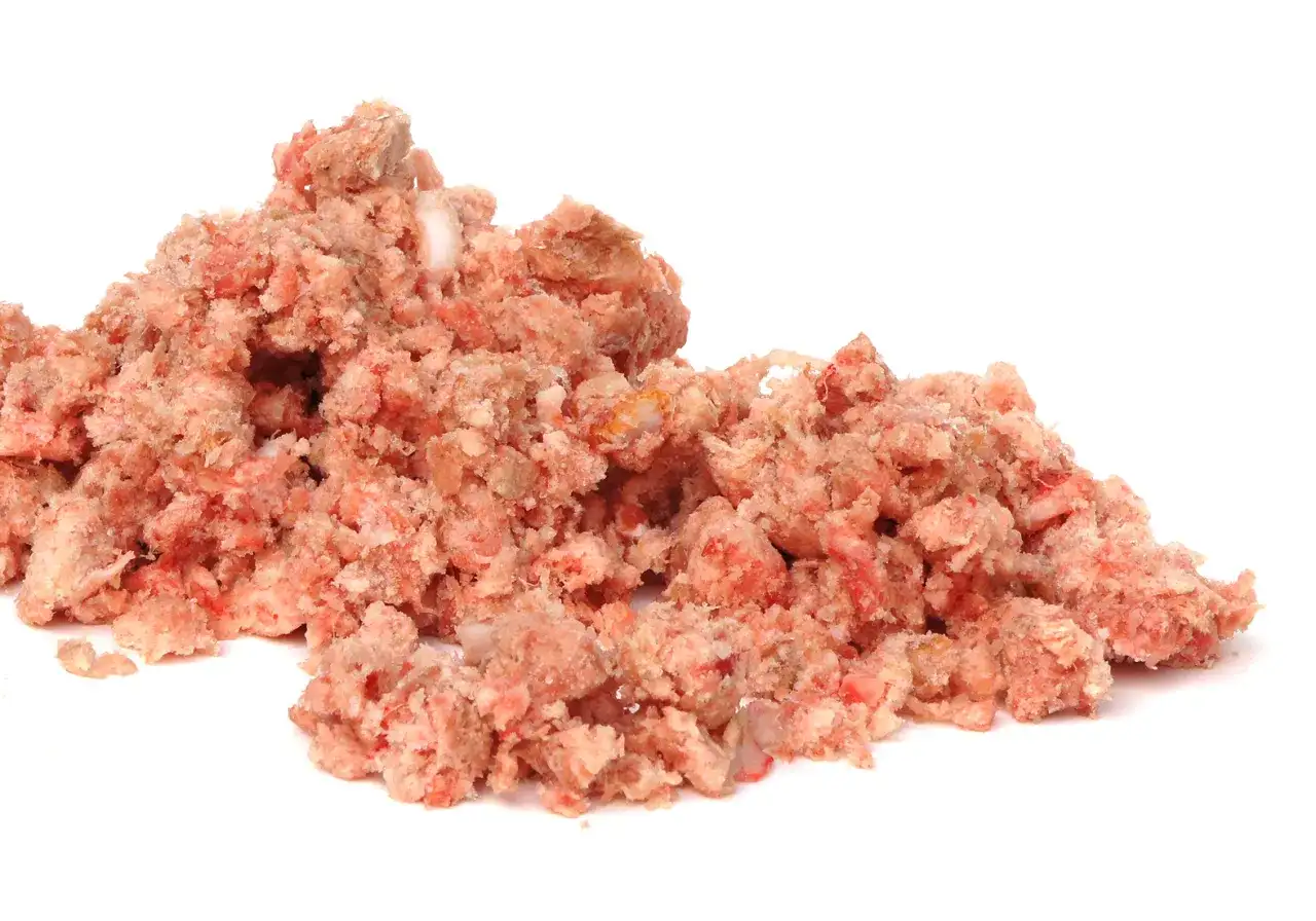 Mielone kości dla psa: jak bezpiecznie podawać i czego lepiej unikać