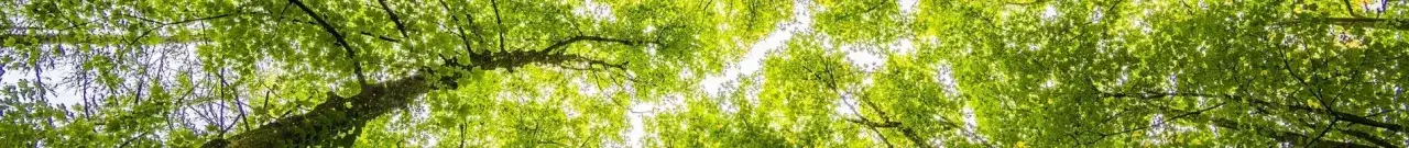 Jak zrobić huśtawkę z opony - proste kroki i bezpieczeństwo dla dzieci