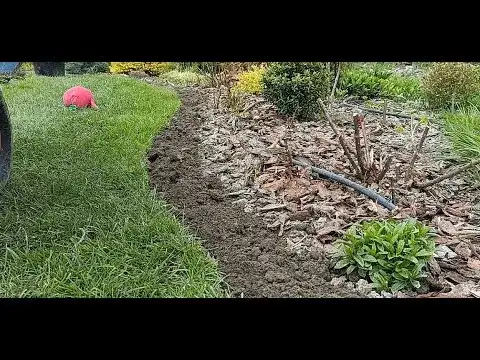 Jak odgrodzić rabatę od trawnika i uniknąć przerastania trawy