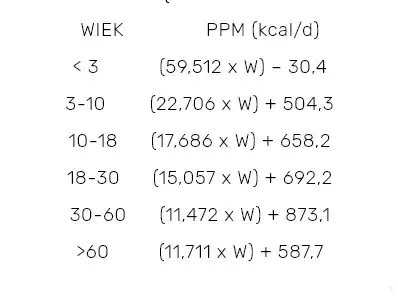 Ile kalorii potrzebuje mężczyzna? Oblicz swoje zapotrzebowanie i uniknij błędów w diecie