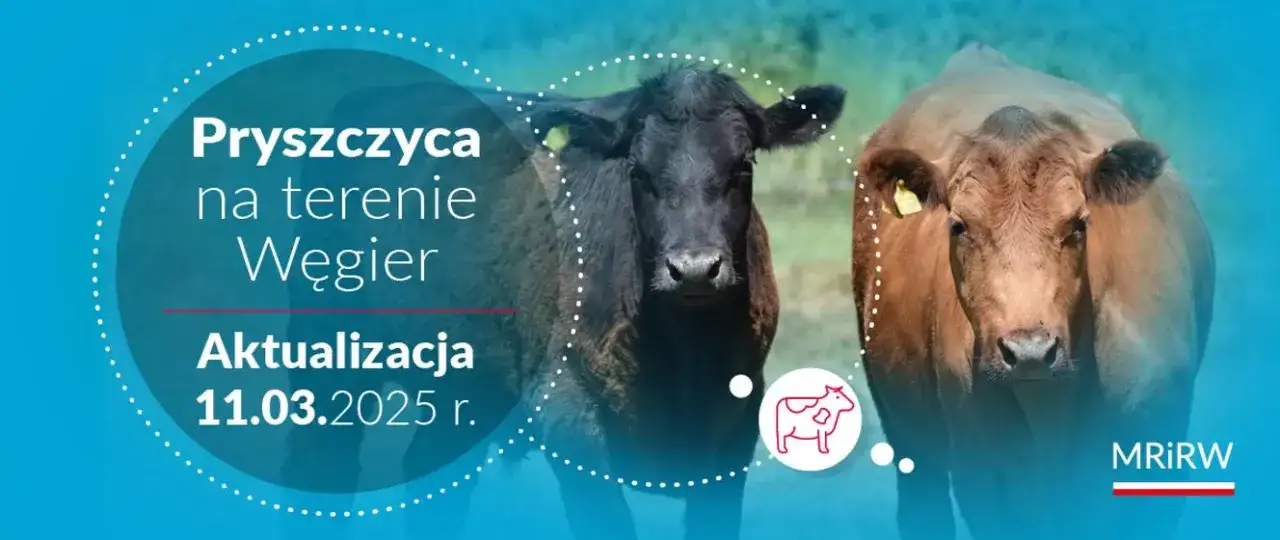 Pielęgnacja zwierząt na Węgrzech: porady dla właścicieli