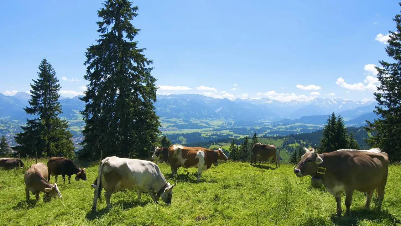 Allg&auml;u Landschaft Drehorte Daheim in den Bergen