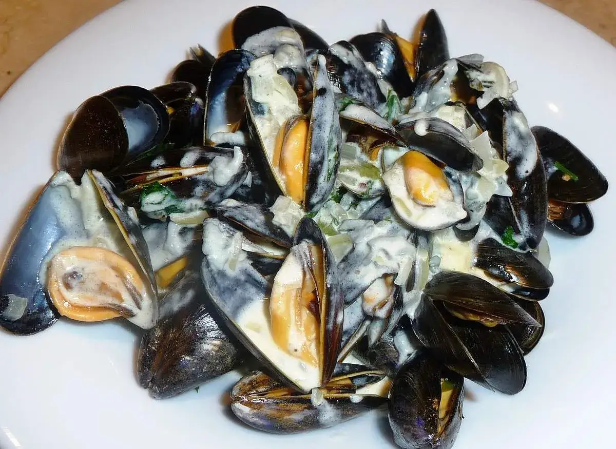 Un plat g&eacute;n&eacute;reux de moules au roquefort, baignant dans une sauce cr&eacute;meuse et onctueuse.